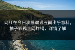 网红在今日凌晨遭遇丑闻出乎意料，柚子影视全网炸锅，详情了解