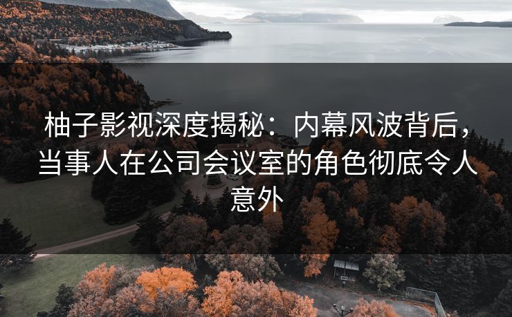 柚子影视深度揭秘：内幕风波背后，当事人在公司会议室的角色彻底令人意外